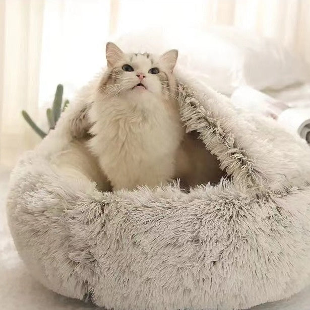 Gato en la cama nido marrón