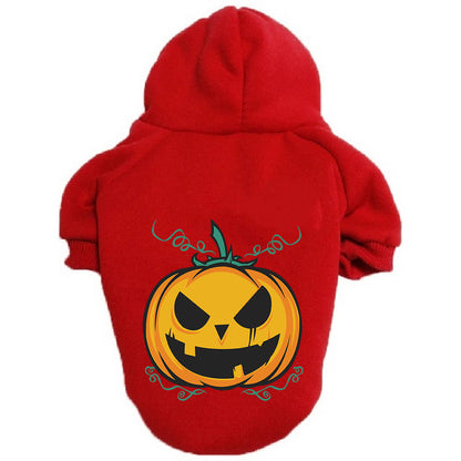 Detalle de la sudadera de calabaza para perro
