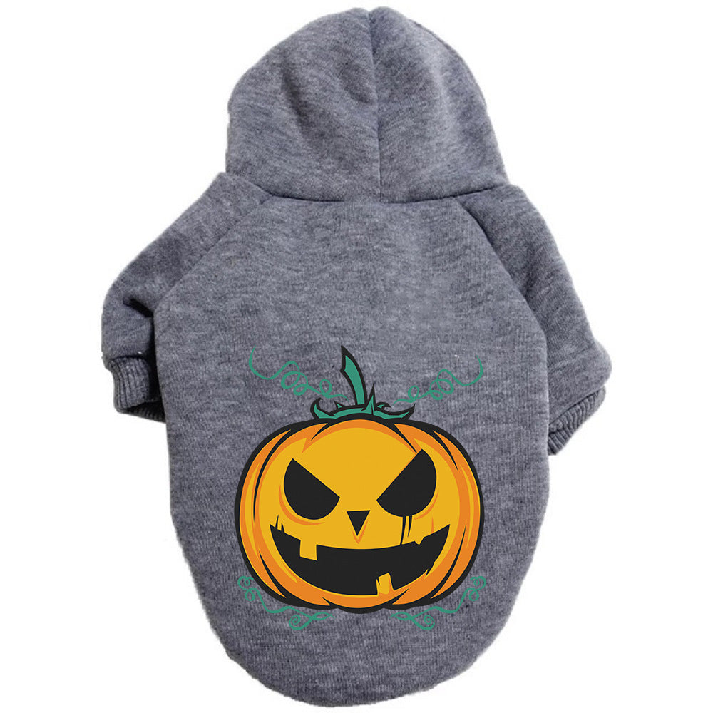 Sudadera calabaza para perro color gris