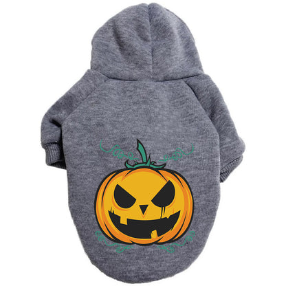 Sudadera calabaza para perro color gris