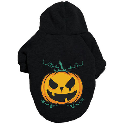 Detalle de la sudadera de calabaza para perro
