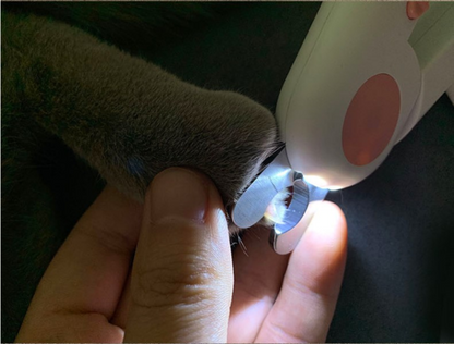 Cortaúñas LED para mascotas, protección transparente