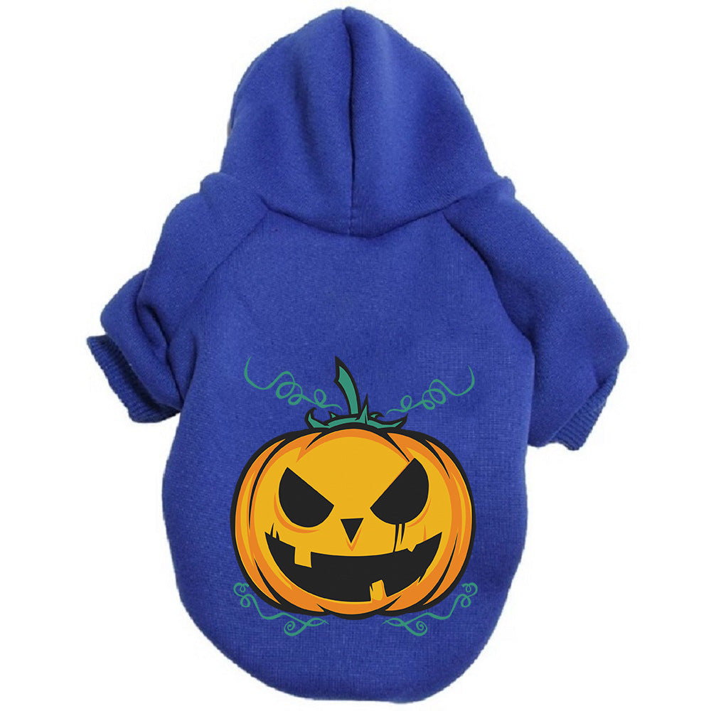 Detalle de la sudadera de calabaza para perro