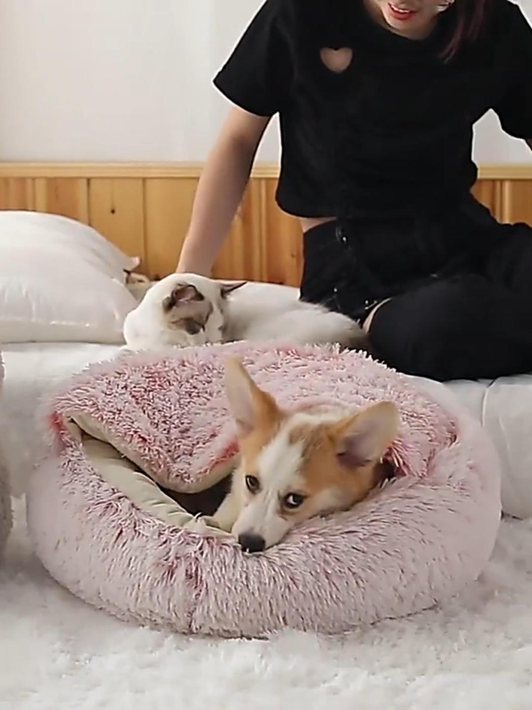 Perro tumbado en la cama nido rosa